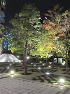 20090924-00.jpg