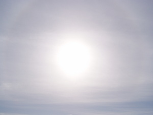 sunlight