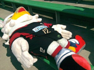 20110801-04.jpg