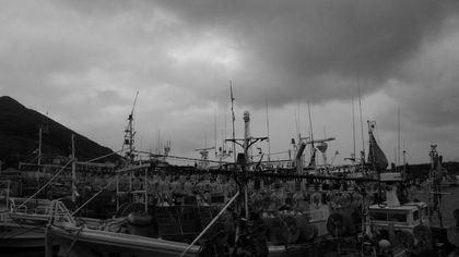 20080528-04.jpg