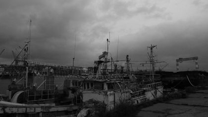 20080528-05.jpg