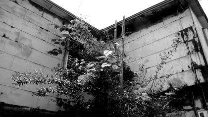 20080630-04.jpg