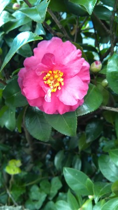 1356233025-IMG_20121218_114522.jpg