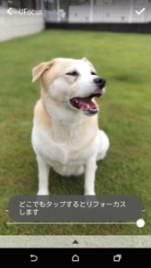 比較写真７