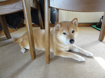 20110216-02.JPG