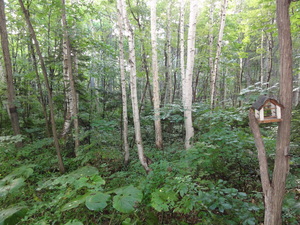 20110910-06.JPG
