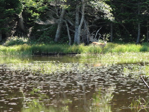 20110916-04.JPG