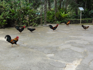 20120227-04.JPG