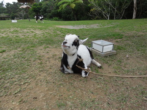 20120227-06.JPG