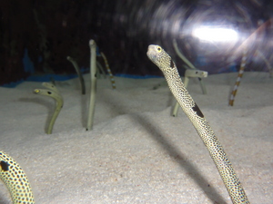 20120301-00.JPG