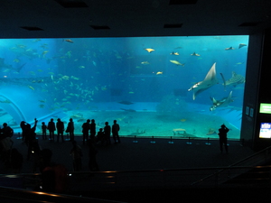 20120301-01.JPG