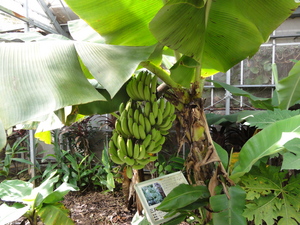 20120301-06.JPG