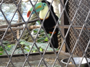 20120301-07.JPG