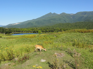 20120919-06.JPG