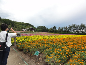 20120919-08.JPG