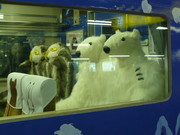 20070430-09.JPG