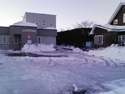 20080305-01.jpg