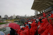 20080525-16.JPG