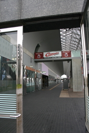 20081109-05.JPG