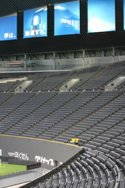 20081109-06.JPG