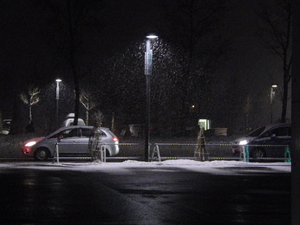 20100314-03.JPG