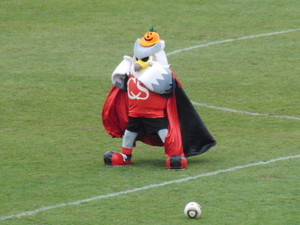 20101114-05.JPG