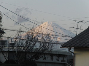 20120402-00.JPG