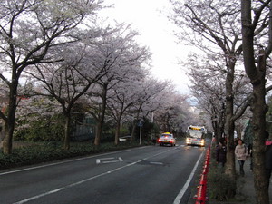 20120402-01.JPG