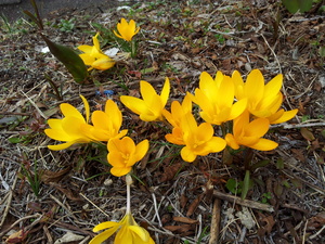 20120419-01.jpg
