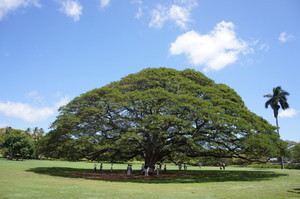20120505-01.JPG