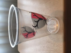 1497740235-IMG_6509.JPG