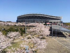 1522792282-02176F37-089A-4228-B504-95BAF33EB2E8.jpeg