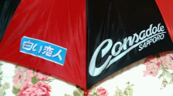 20080316174501.jpg