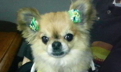 20081124-01.JPG