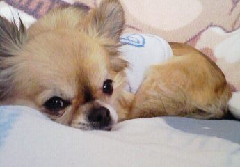 20081124-03.JPG