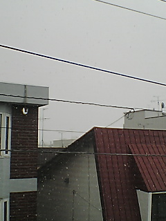 070405_1257~01.jpg