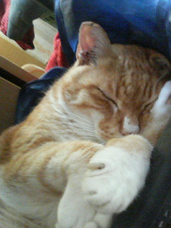 200606181346000.JPG