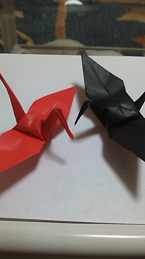 100209_1944~01.jpg