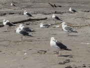 20070905-01.JPG