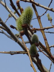 20080406-01.JPG