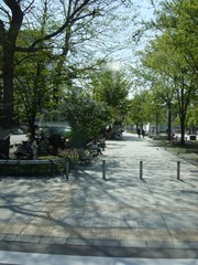 20080511-02.JPG