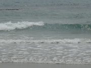 20080527-08.JPG