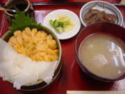 20080527-13.JPG
