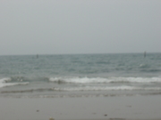 20080527-15.JPG