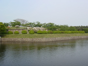 20080527-19.JPG