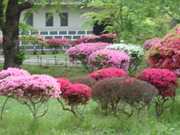 20080527-24.JPG