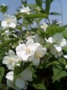 20080618-00.jpg