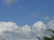 20080702-00.JPG