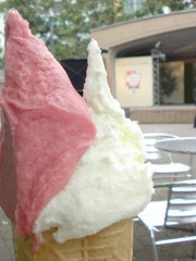 20080925-01.jpg