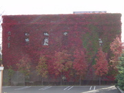 20081012-00.JPG